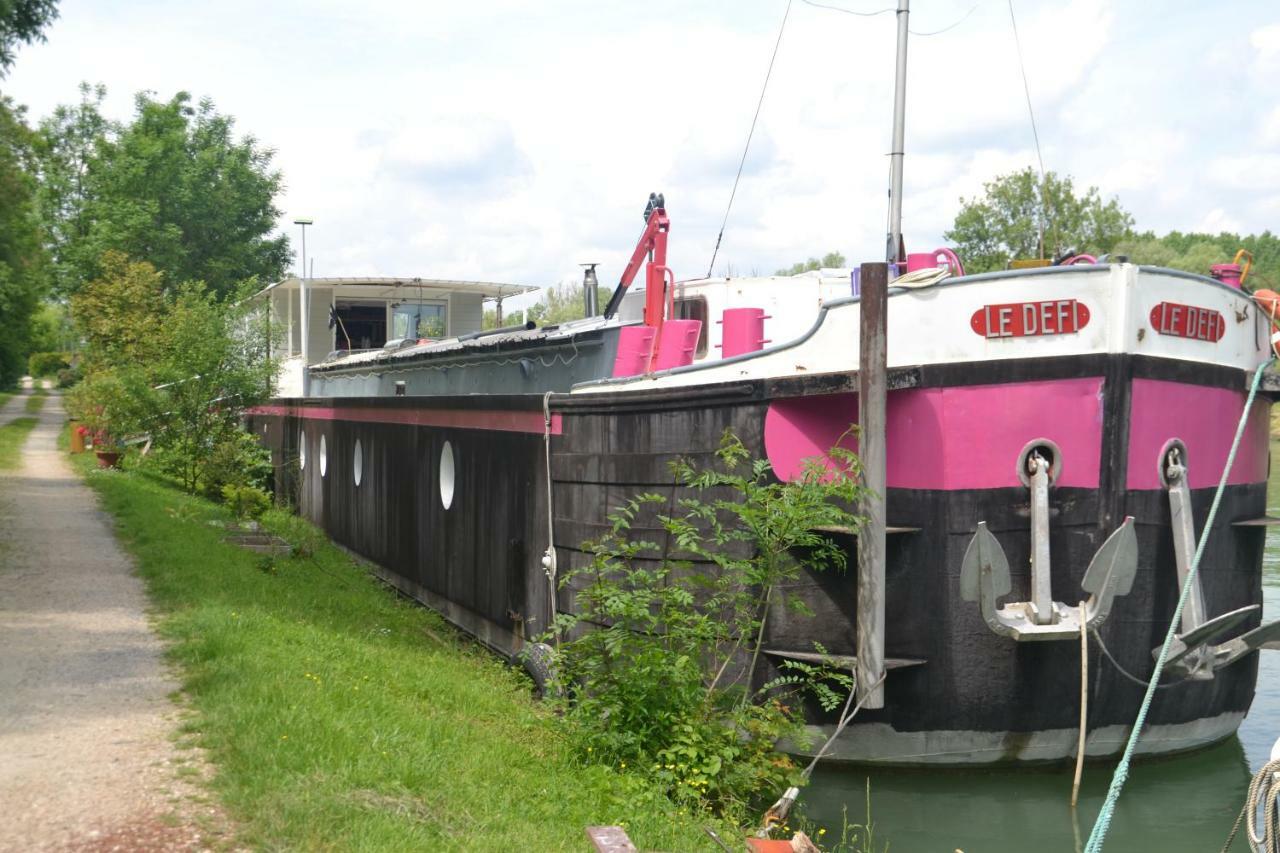 Peniche "Le Defi" Bed and Breakfast Marolles-sur-Seine Eksteriør billede